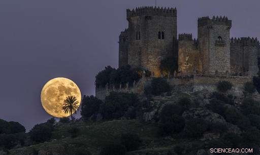 Supermoon: Brightest Moon in Nearly 69 Years Illuminates Global Skies