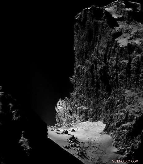 Carl Sagan s Bold Vision: Living Inside a Comet