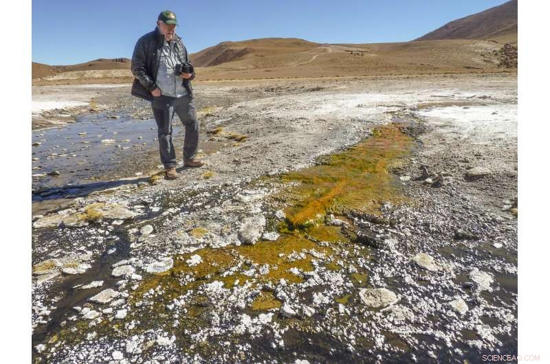 El Tatio Hot Springs in Chile Provide Key Insights for Detecting Life on Mars