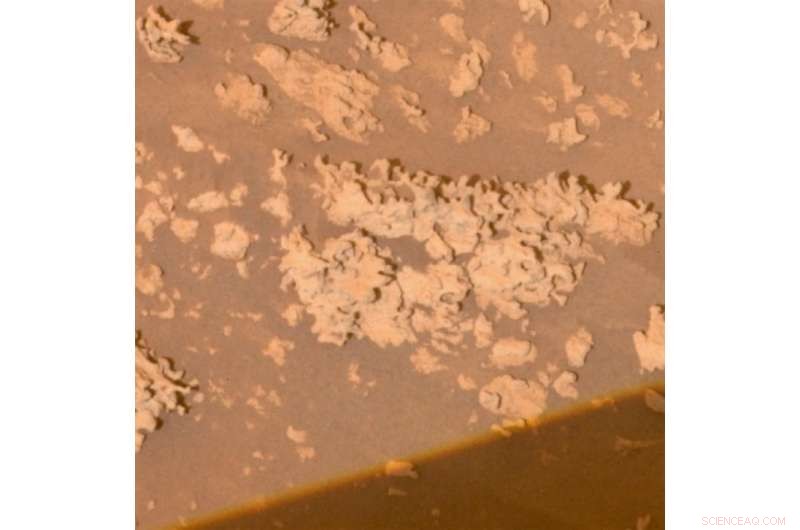 El Tatio Hot Springs in Chile Provide Key Insights for Detecting Life on Mars