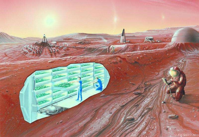 Understanding Martian Radiation: What It Means for Human Missions