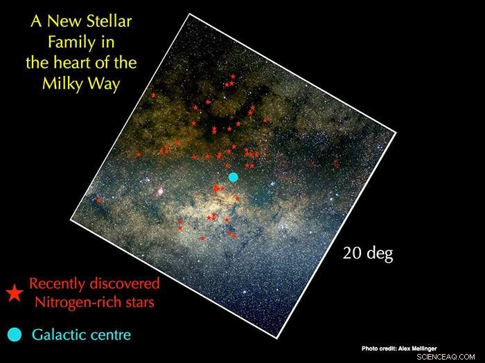 Milky Way’s Newly Discovered Star Family Illuminates Galaxy Formation