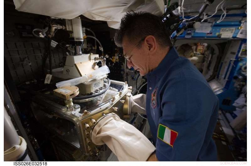 Vita: Introducing the Next Space Station Mission – Name & Official Logo