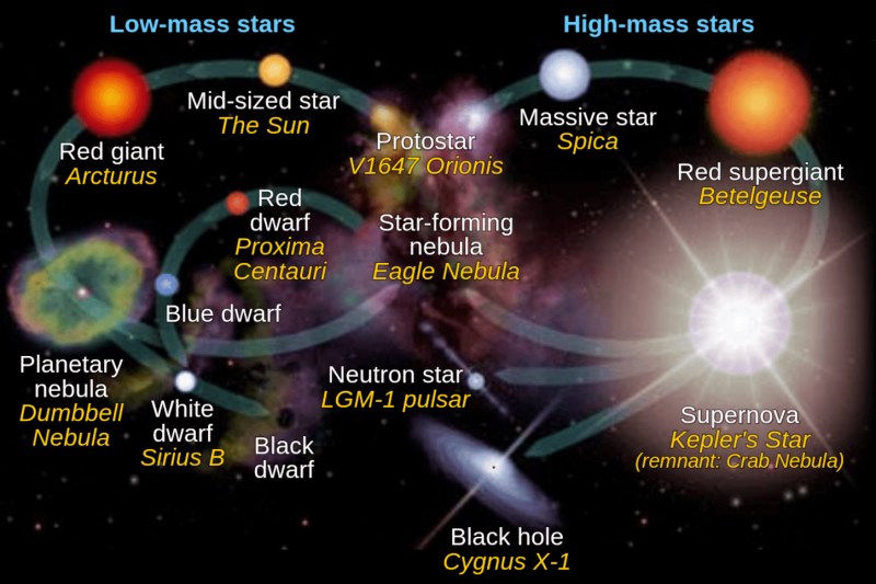 Mapping the Milky Way’s History: A Comprehensive Galactic Survey
