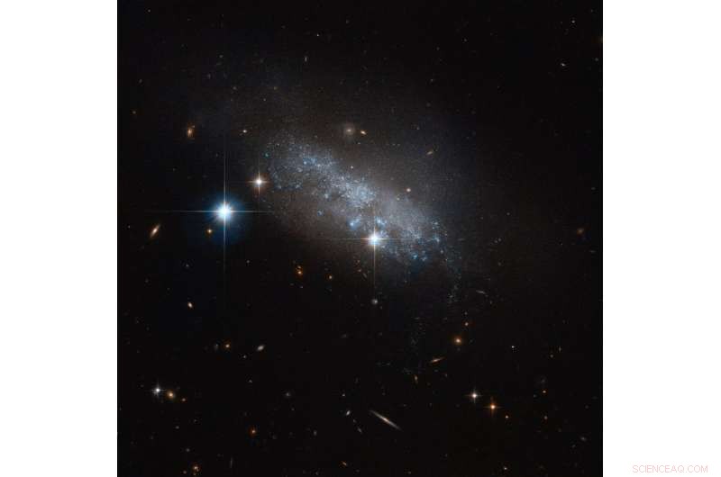 Hubble Reveals Stunning Details of Irregular Galaxy IC 3583