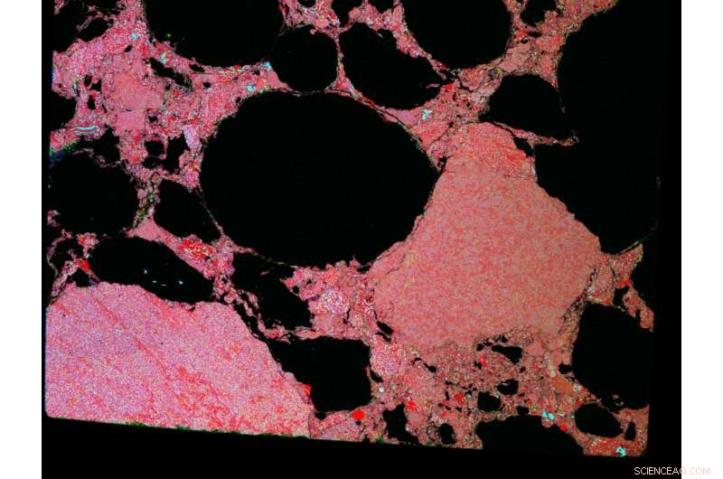 New Study Sheds Light on the Timing of Jupiter s Formation