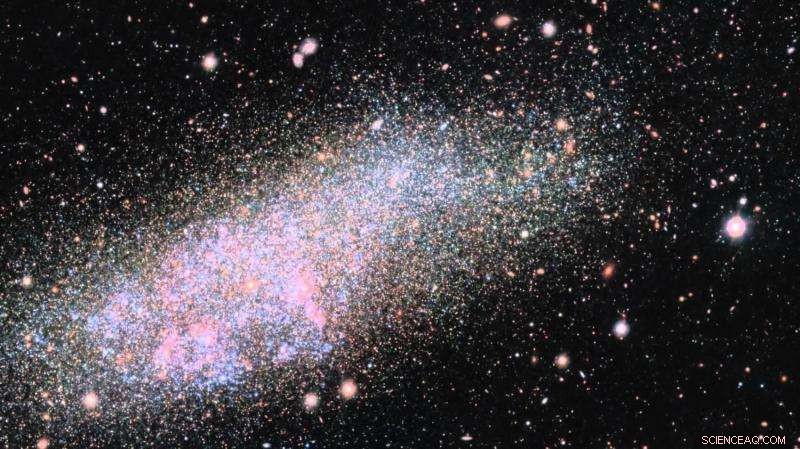 Mini-spiral Galaxies Unveil a Surprising Dark Matter Connection