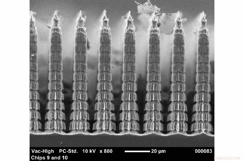 Moth Eye Design Drives Innovation in SOFIA s New HAWC+ Instrument