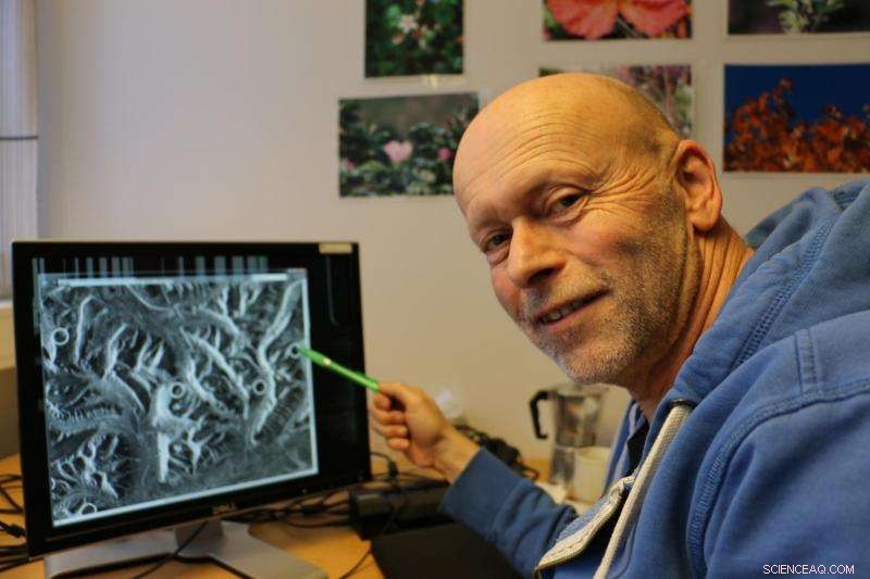 Satellite Detects Recent Avalanches in Svalbard