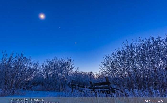 Venus Dominates Dusk Skies at Peak Elongation