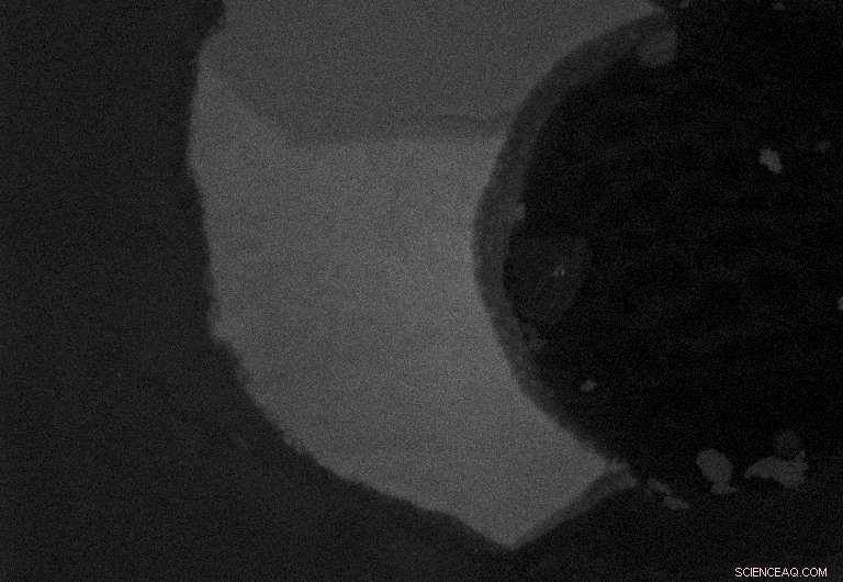 Scientists Confirm 4.51 Billion-Year-Old Moon Formation: Latest Update