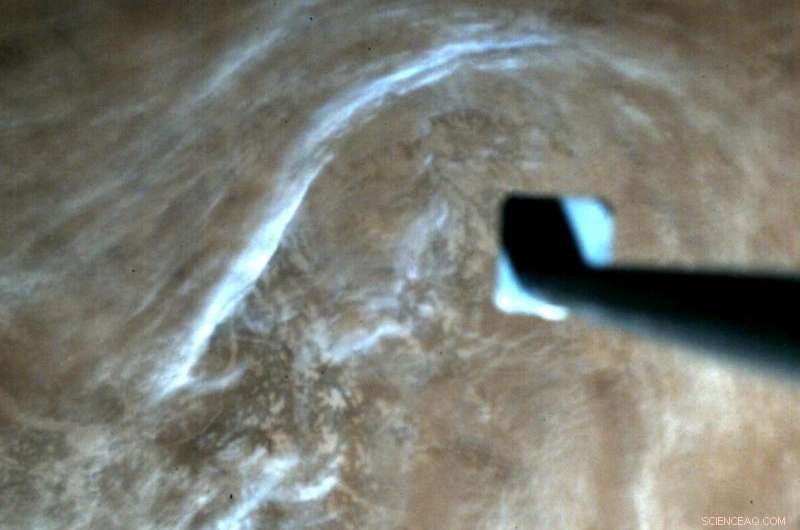 UK‑Algeria CubeSat Captures First Full‑Color Image