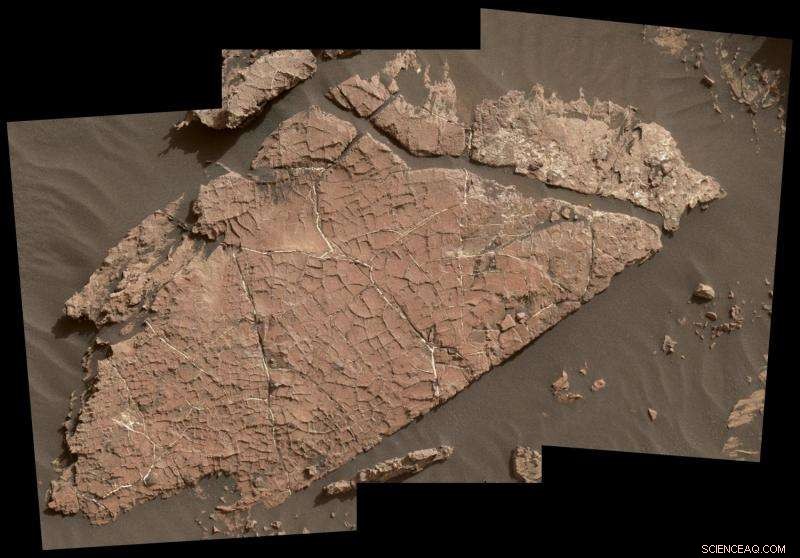 NASA s Curiosity Discovers Ancient Mud Crack Network on Mars