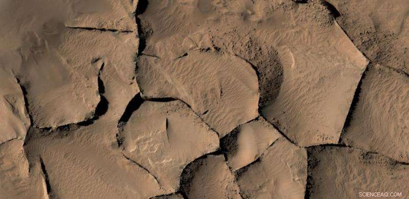 Mars Ridges That Look Similar Reveal Diverse Origins