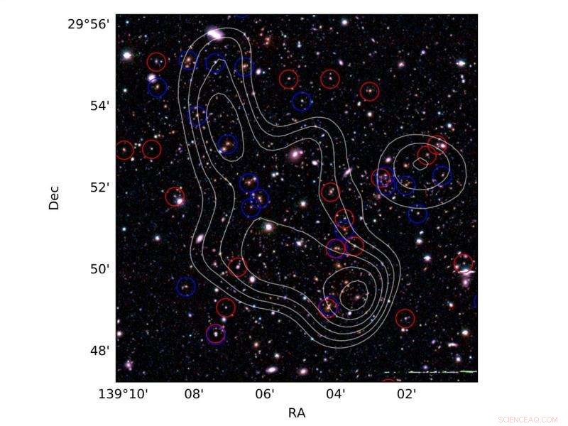 Mapping the Cosmic Web: How Star‑Forming Galaxies Trace the Distant Universe
