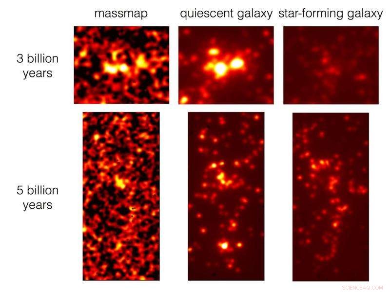 Mapping the Cosmic Web: How Star‑Forming Galaxies Trace the Distant Universe