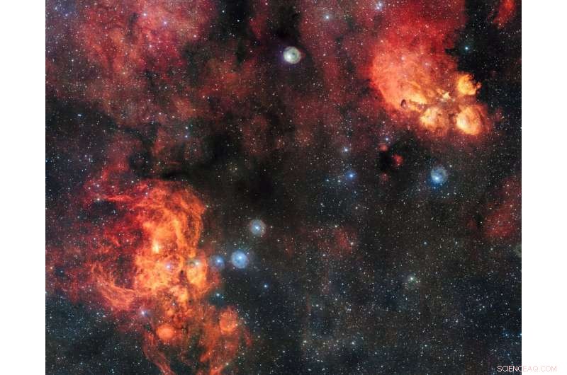 Cat s Paw Nebula vs Lobster Nebula: A Stellar Showdown