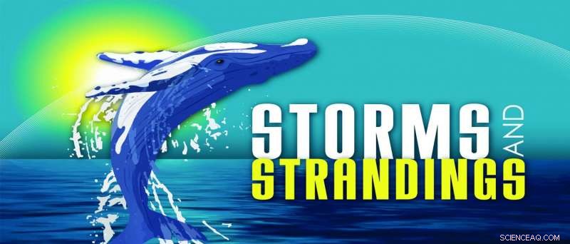 NASA Researcher Investigates Link Between Solar Storms and Wildlife Strandings