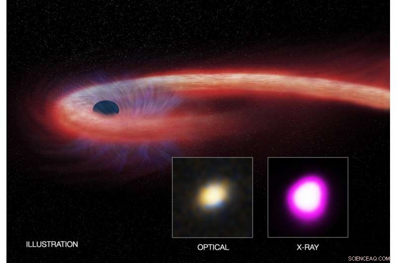 Record‑Breaking Black Hole Feeding Frenzy Unveiled by Researchers