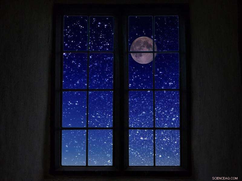 Regulus Disappears Behind the Full Moon on Feb. 12 – Don’t Miss This Celestial Event