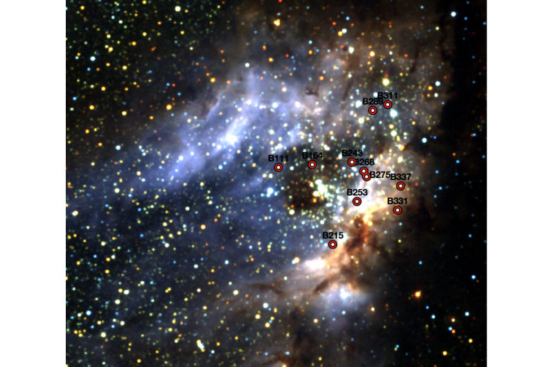 Young, Massive Stars in Omega Nebula Lack Nearby Companion Stars