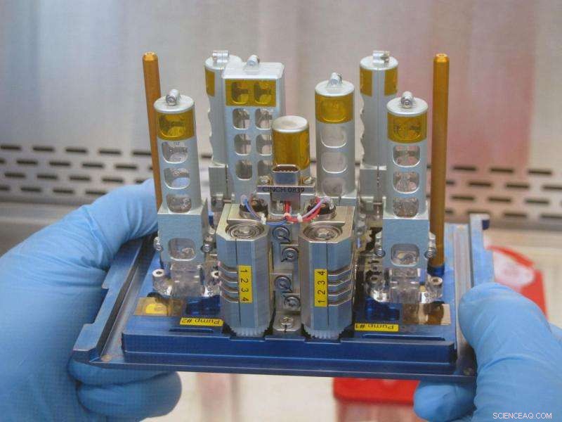 Mammalian Cells Show Ultra-Fast Adaptation to Microgravity