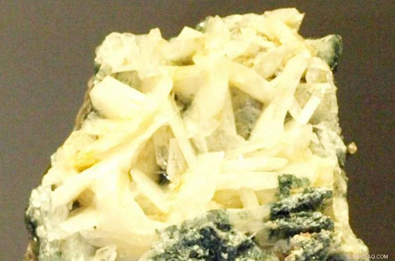 New Insight: Whitlockite in Martian Meteorites Reveals Evidence of Ancient Water