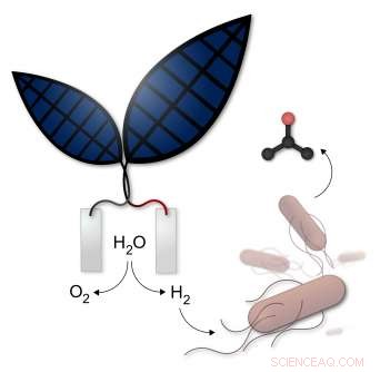 Synthetic Biology to Enable Mars Colonization