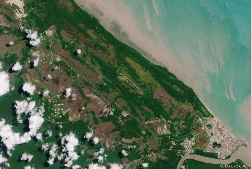 High-Resolution Sentinel-2A Satellite Image of Kourou, French Guiana