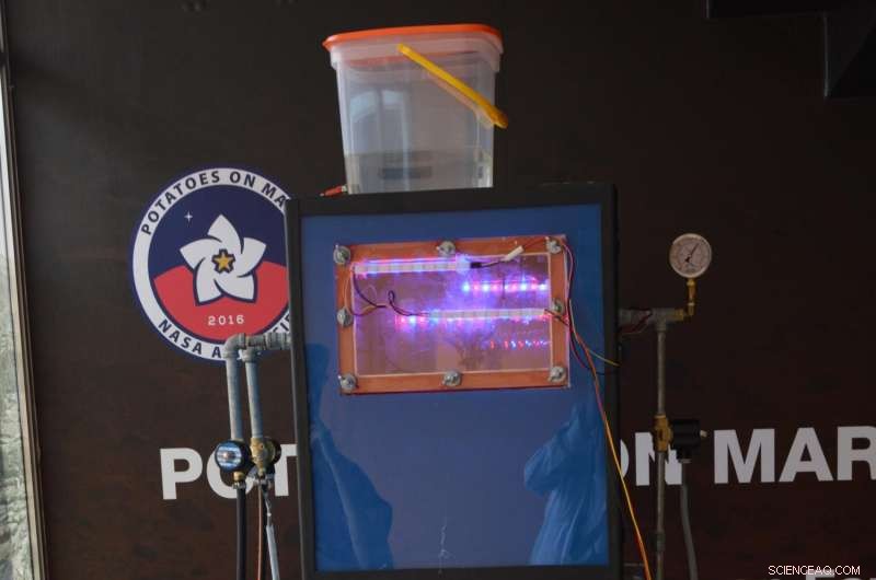 New Study Finds Potatoes Could Thrive on Mars, Paving the Way for Future Colonization