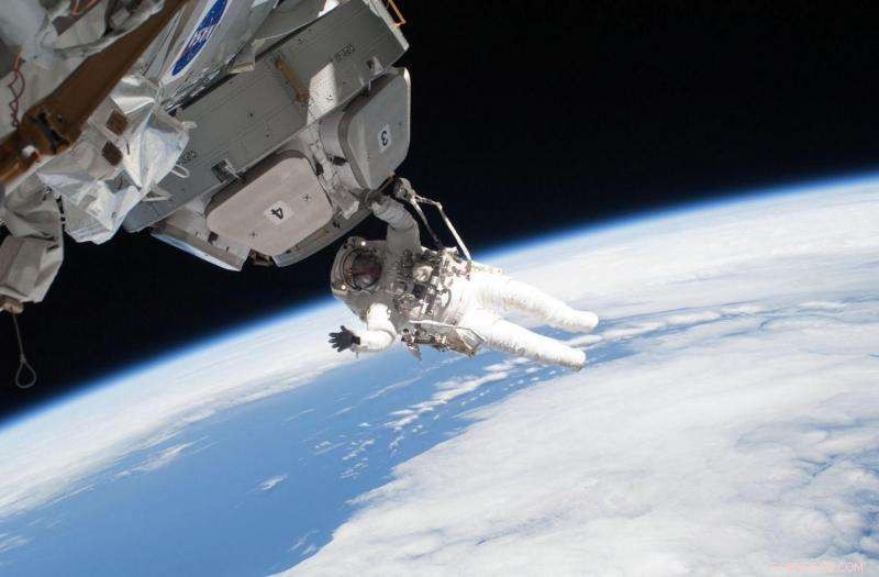 How Zero Gravity Affects Human Cells and Tissues: Insights from Space Biology