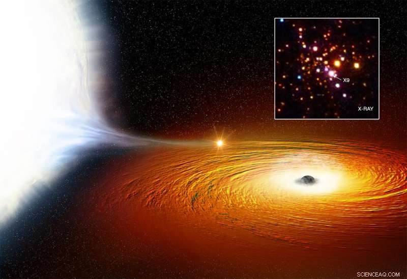 White Dwarf Trapped in the Closest Known Orbit Around a Black Hole