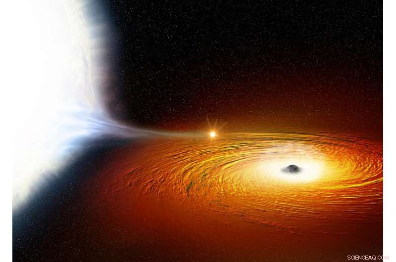 White Dwarf Trapped in the Closest Known Orbit Around a Black Hole