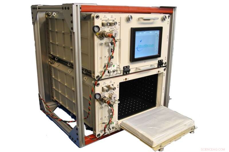 Rapid Bacterial Mutations in Microgravity: Implications for Space Health