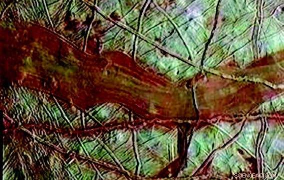 Seven SMD‑Supported Instruments Set to Search for Life on Europa