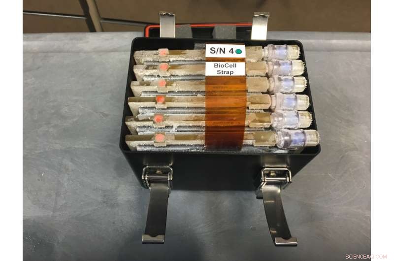 Stem Cells Multiply Faster in Microgravity, Promising Rapid Medical Advances