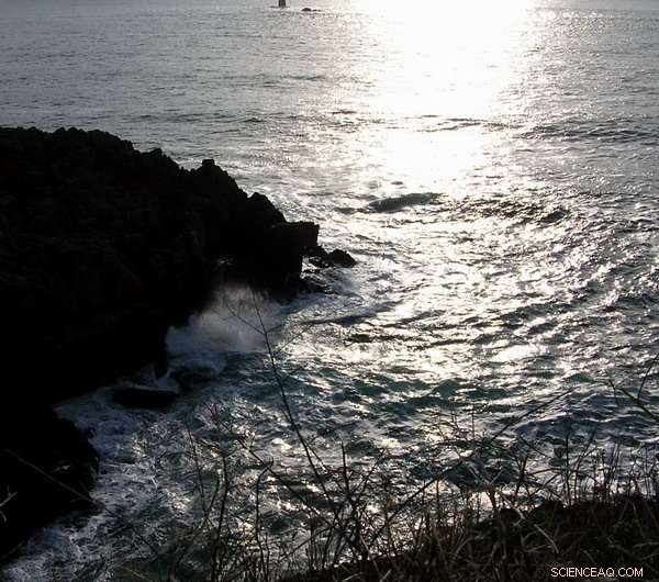 Glitter Satellite Imaging Enhances Ocean Wave Monitoring