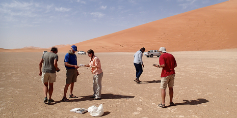 Advanced Analytical Methods Reveal Solar Radiation Signatures on Meteoroids