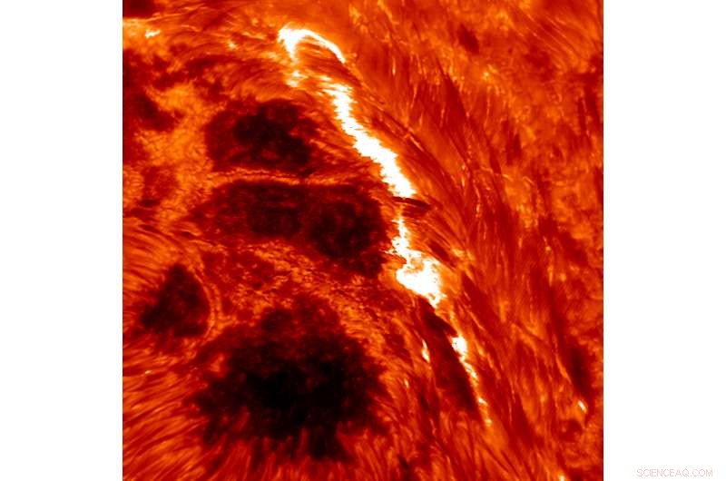 How Lower‑Atmosphere Magnetic Fields Trigger Solar Flares in the Corona