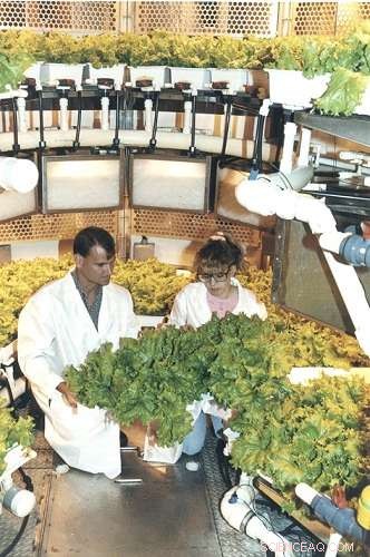 Growing Plants in Space: Techniques for Off‑Earth Agriculture