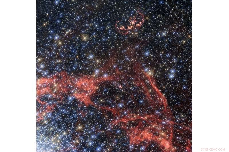 Locating the Stellar Survivor of a Type Ia Supernova Explosion