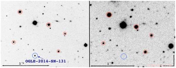 Astronomers Discover a Rare, Slowly Evolving Type Ibn Supernova