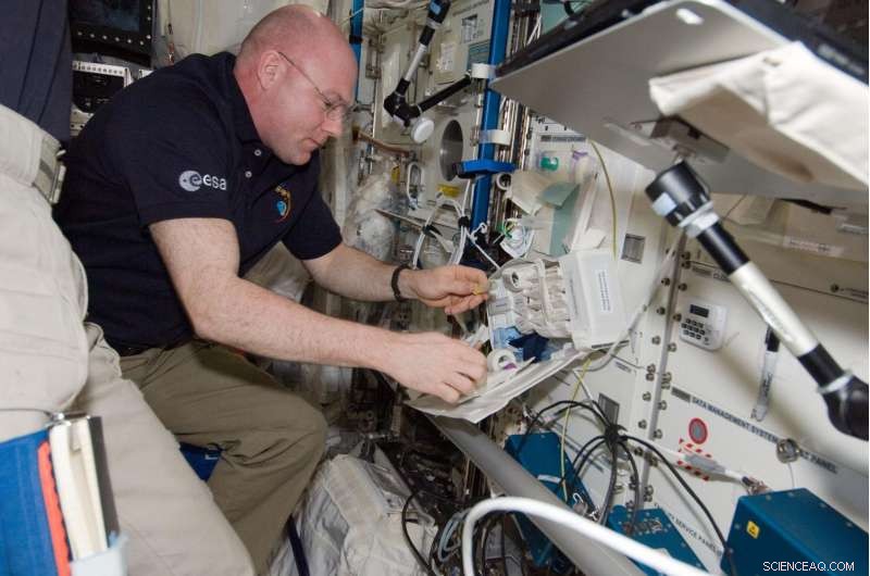 NASA Study Reveals How Spaceflight Alters Human Immunity