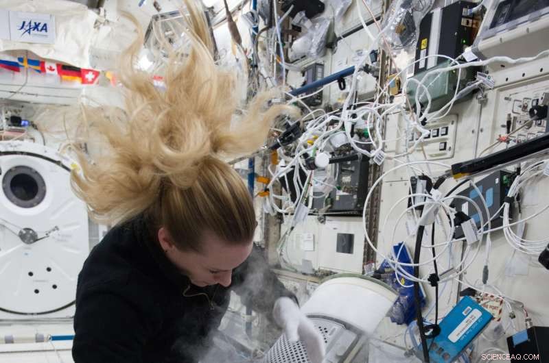 NASA Study Reveals How Spaceflight Alters Human Immunity