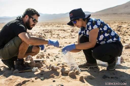 Atacama Desert Study Sheds Light on Potential Life on Mars