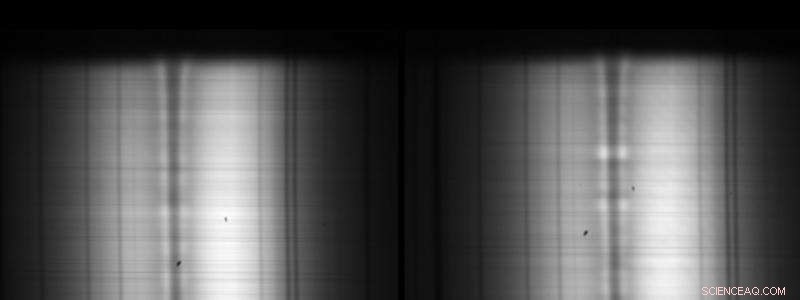 CryoNIRSP Achieves First Light on the World’s Largest Solar Telescope