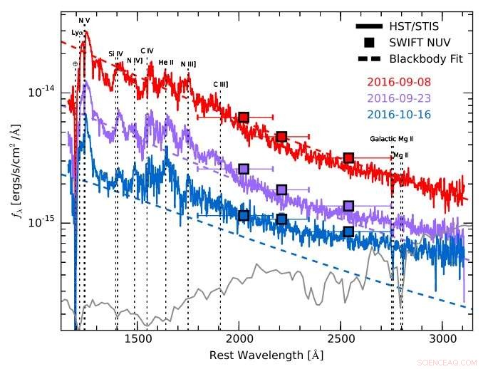 Astronomers Unveil Ultraviolet Spectroscopic Evolution of a Tidal Disruption Event