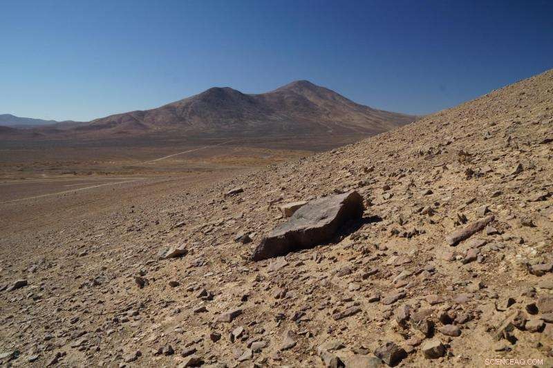 Discovering Life in the Ultra-Dry Atacama Desert: What It Means for Mars