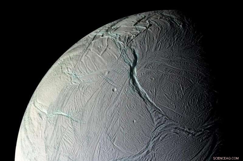 Water Abundance in the Solar System: A Key Indicator of Life Potential
