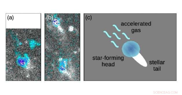 Discovery of a Jellyfish Galaxy in the Abell 2670 Cluster